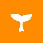 orangebeluga